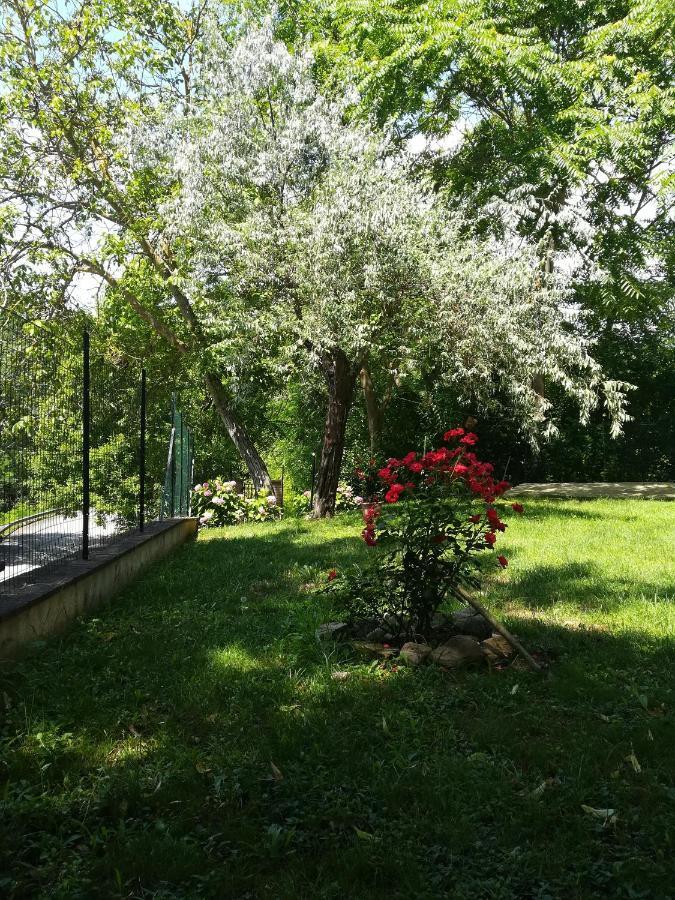 Da Marisetta A San Severino Marche Exteriör bild